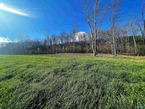 Lot 10 Thompson Road, Altoona, AL 35952