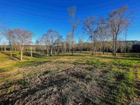 Lot 24 Thompson Road, Altoona, AL 35952