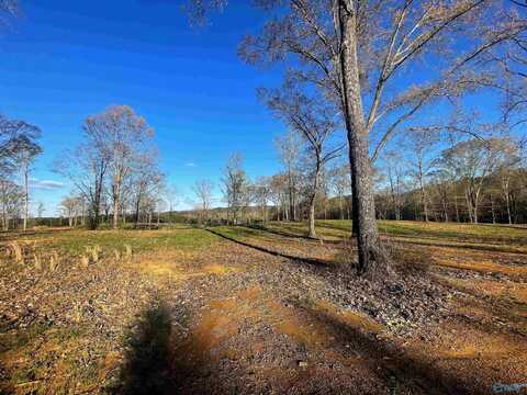 Lot 23 Thompson Road, Altoona, AL 35952