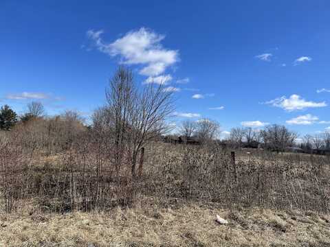 Lot 20 Anna Lane, Monee, IL 60449