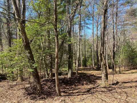 Lot 11 Kingfisher Lane, Blairsville, GA 30512