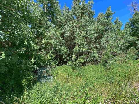 409 Powder Ridge Circle, Mesa, CO 81643