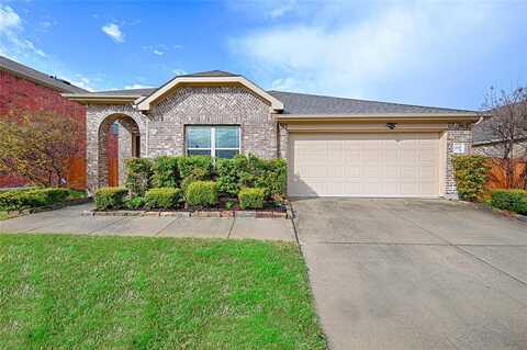 4105 Indian Paintbrush Lane, Heartland, TX 75126