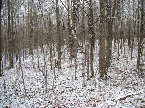 Lot #96 WOODS Avenue, Birchwood, WI 54817