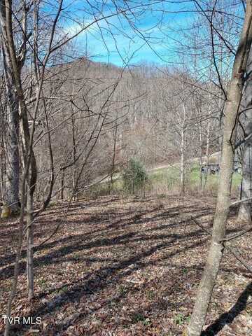 Tbd Garland Road, Roan Mountain, TN 37687