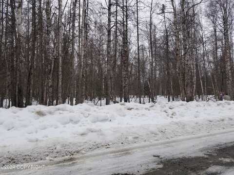 19996-74 E Record Avenue, Willow, AK 99688