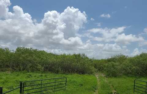 4630 S HWY 77, Kingsville, TX 78363