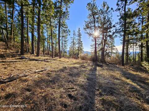 Nna Soaring Hawk Ln, Saint Maries, ID 83861