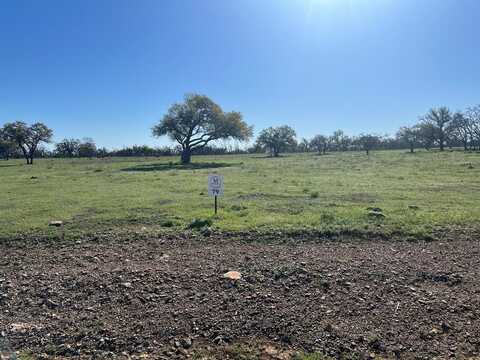 Lot 79 Fiedler Rd, Harper, TX 78631