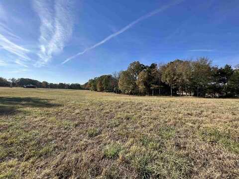 0 +-6 acres Gadsden Todd Levee Road, Humboldt, TN 38343