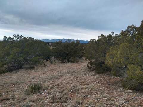 Tract 8 Bridle Path Loop, Mountainair, NM 87036