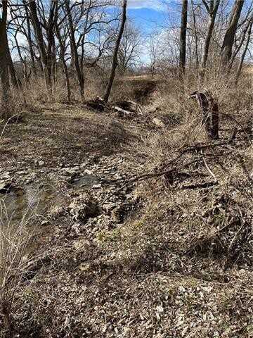 Lot 1,2,& 3 South New Garden Road, Excelsior Springs, MO 64024