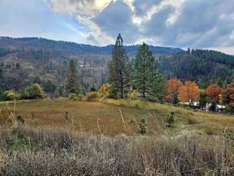 Tbd Adams Rd, Parcel D, Orofino, ID 83544