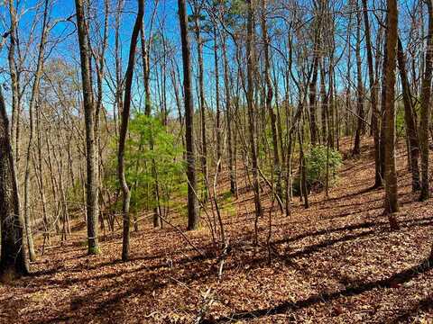 12.64 Ac Voylestown Road, Morganton, GA 30560