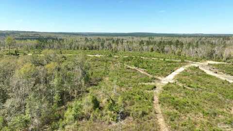 Lot 12-c Cotton Lake Rd, Molino, FL 32577