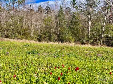 Lot 14n Hwy 29, Molino, FL 32577