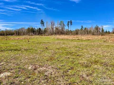 Lot 17n Cotton Lake Rd, Molino, FL 32577