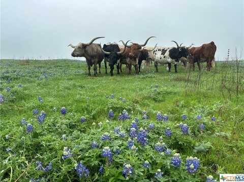 1716 CR 469, Coupland, TX 78634