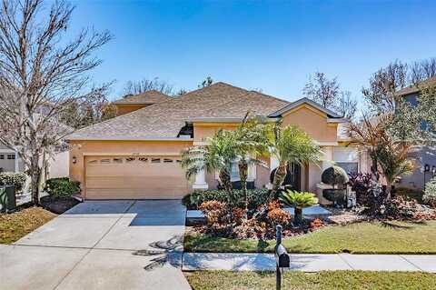 Beech Grove, WESLEY CHAPEL, FL 33544