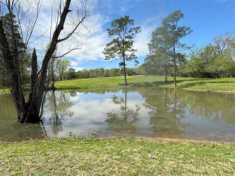 Ellis Lovett, SHEPHERD, TX 77371