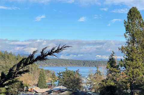 Guard, FRIDAY HARBOR, WA 98250