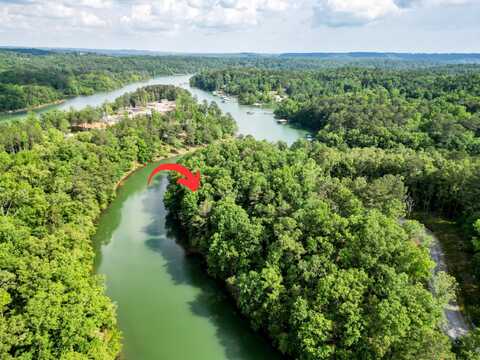 LOT 8 SHORESIDE AT SIPSEY, Double Springs, AL 35553