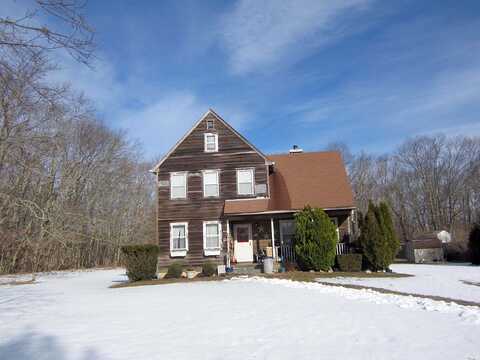 Buckskin, RIVERHEAD, NY 11901