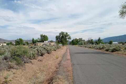 White Pine, WASHOE VALLEY, NV 89704