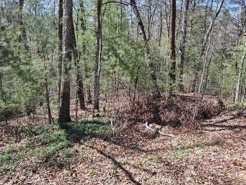 Lot 10 John Boy Trl., Sevierville, TN 37862