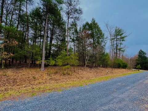 LOT 11 Paradise Point, James Creek, PA 16657