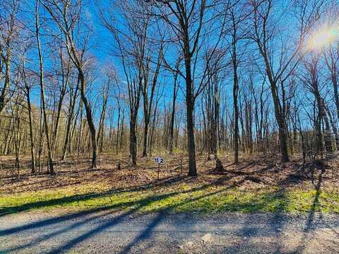 LOT 15 Paradise Point, James Creek, PA 16657