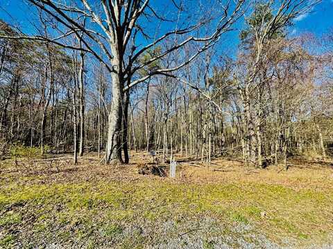 LOT 37 Paradise Point, James Creek, PA 16657