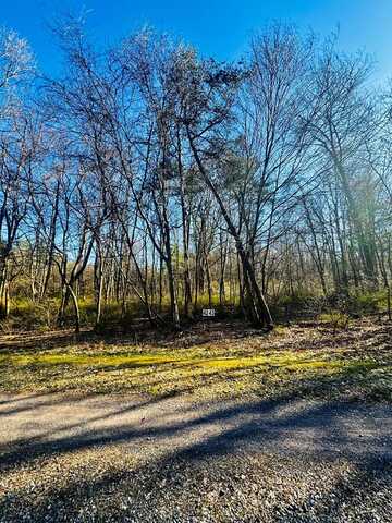 LOT 42 Paradise Point, James Creek, PA 16657