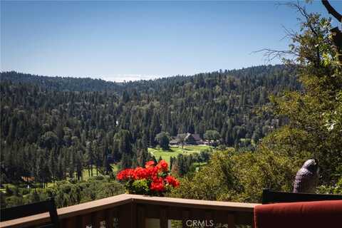 26543 Amador Lane, Lake Arrowhead, CA 92352