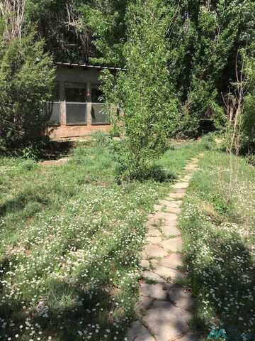 9 CR B45C Road, ANTON CHICO, NM 87711