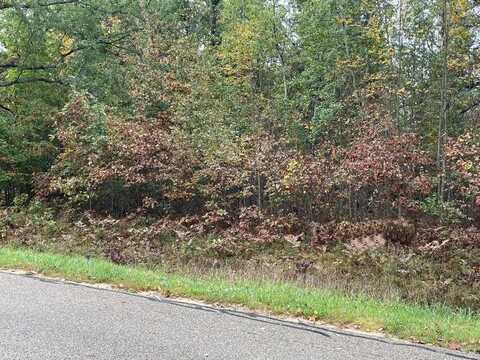 LOT 42 Hidden Hills, Houghton Lake, MI 48629