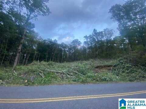 2005 ROCK MOUNTAIN DRIVE, Mc Calla, AL 35111