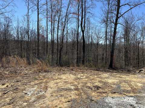 525 Moonlight Ln, Jasper, TN 37347