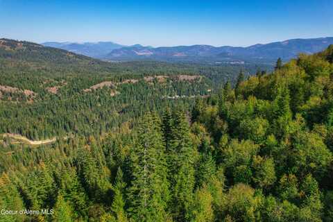 Nka Bodie Canyon Rd, Priest River, ID 83856