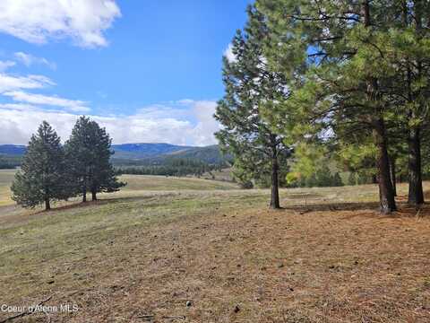 000 Wild Sky Rd, Tensed, ID 83870