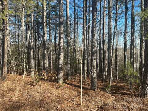 0000 Pine Cone Trail, Rutherfordton, NC 28139