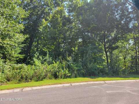 Lot 2 Sugar Maple Court, Madisonville, TN 37354