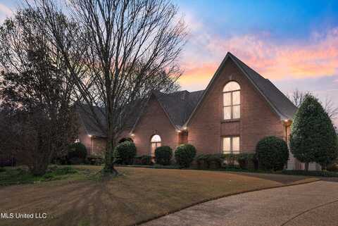 9175 Rosalie Cove, Olive Branch, MS 38654