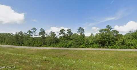 Highway 49, McHenry, MS 39561