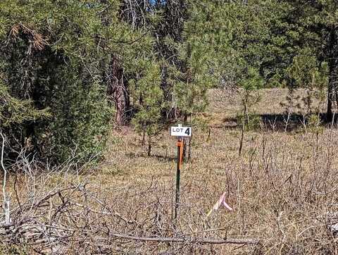 TBD Battle Mountain Road, Hot Springs, SD 57747