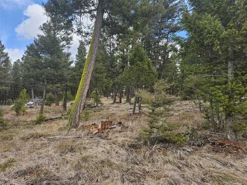 202 Packer Gulch Road, Drummond, MT 59832