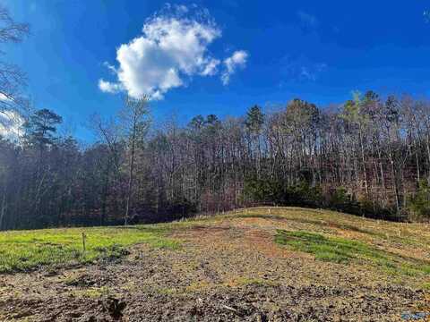 Lot 6 Thompson Road, Altoona, AL 35952