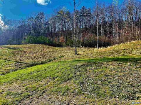 Lot 7 Thompson Road, Altoona, AL 35952