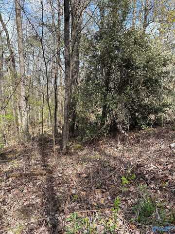 Lot 3 Mountain Top Drive, Southside, AL 35907