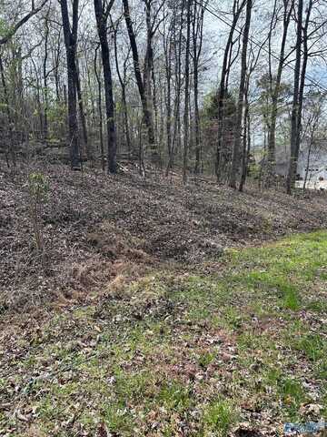 Lot 17 Laura Lane, Southside, AL 35907